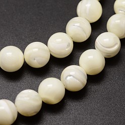 Ivoire Naturelles coquillage perles brins, ronde, blanc crème, 8mm, Trou: 0.8mm, Environ 51 pcs/chapelet, 15.75 pouce