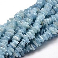 Aigue-marine Aigue-marine naturelle perles de puce brins, 9~15x9~15mm, Trou: 1mm, environ 15.3 pouces ~ 15.9 pouces
