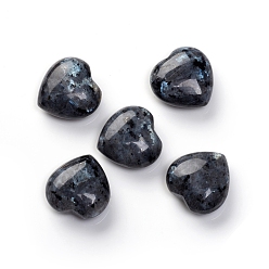 Larvikite Natural Larvikite Heart Love Palm Worry Stone, Healing Crystal, 25~25.5x25.5x12mm