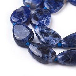 Sodalite Natural Sodalite Beads Strands, Mixed Shapes, 18~30x12~22x5~8mm, Hole: 1~1.2mm, about 14~19pcs/strand, 16.1~16.5 inch(41~42cm)
