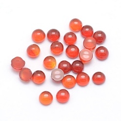 Carnelian Natural Carnelian Cabochons, Half Round, 3x1.8~2mm