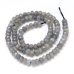 Labradorite Natural Labradorite Rondelle Bead Strands, Grade AA, Faceted, 6x4mm, Hole: 1mm, about 104pcs/strand, 16 inch