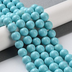 Turquoise Shell Pearl Beads Strands, Grade A, Polished, Round, Turquoise, 8mm, Hole: 0.8mm, about 47~50pcs/strand, 16 inch