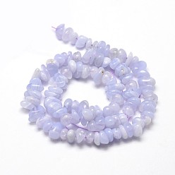 Blue Lace Agate Natural Blue Lace Agate Chip Beads Strands, 5~14x4~10mm, Hole: 1mm, about 15.5 inch~16.1 inch