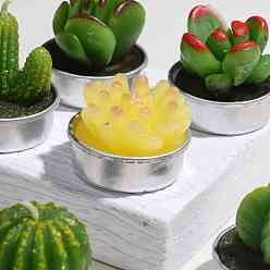 Couleur Mélangete Bougies sans fumée cactus paraffine, bougies décoratives succulentes artificielles, avec des conteneurs en aluminium, pour la décoration, couleur mixte, 15.6x10.3x10.3cm, 12pcs / set