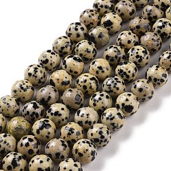 Dalmatian Jasper Natural Dalmatian Jasper Beads Strands, Round, 10~10.5mm, Hole: 1.2mm, about 36pcs/strand, 15.5 inch