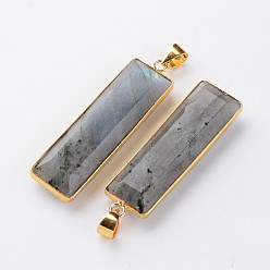 Labradorite Faceted Rectangle Natural Labradorite Pendants, with Golden Tone Brass Findings, 43~47x12.5~13x6mm, Hole: 5x4mm