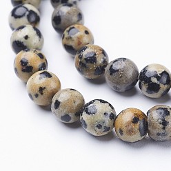 Dalmatian Jasper Natural Dalmatian Jasper Beads Strands, Round, 6mm, Hole: 0.8mm, about 60pcs/strand, 15 inch/strand