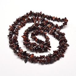 Tiger Eye Natural Tiger Eye Chip Bead Strands, Dyed & Heated, 5~8x5~8mm, Hole: 1mm, about 31.5 inch