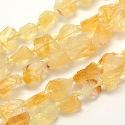 Citrine Rough Raw Natural Citrine Beads Strands, Grade A, Nuggets, 10~14x9~12mm, Hole: 1mm, about 37pcs/strand, 16.5 inch(41.9cm)