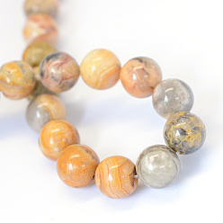 Crazy Agate Natural Crazy Agate Round Bead Strands, 8~8.5mm, Hole: 1mm, about 47pcs/strand, 15.5 inch