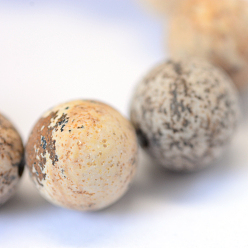 Picture Jasper Frosted Natural Picture Jasper Round Bead Strands, 12mm, Hole: 1.5mm, about 32pcs/strand, 15.5 inch