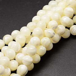 Ivoire Naturelles coquillage perles brins, ronde, blanc crème, 8mm, Trou: 0.8mm, Environ 51 pcs/chapelet, 15.75 pouce