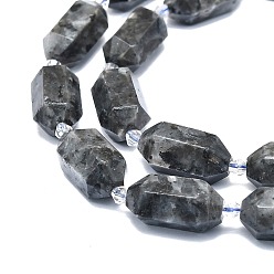 Larvikite Natural Larvikite Beads Strands, Faceted, Double Terminated Pointed/Bullet, 25~27x13~15x12~13mm, Hole: 1.2mm, about 12~13pcs/strand, 15.35 inch(39cm)