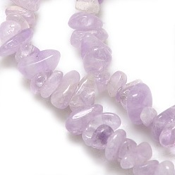 Amethyst Natural Amethyst Beads Strands, Chips, 6~10x4~6x3~!5mm, Hole: 1mm, about 32 inch