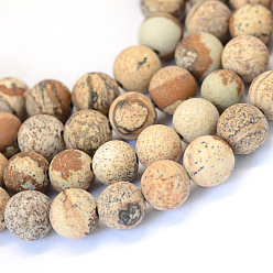 Picture Jasper Frosted Natural Picture Jasper Round Bead Strands, 12mm, Hole: 1.5mm, about 32pcs/strand, 15.5 inch