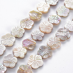 Seashell Color Electroplated Natural Freshwater Shell Beads Strands, Flower, Seashell Color, 11~14x11.5~14x2~3.5mm, Hole: 0.6mm, about 30pcs/strand, 14.37 inch~14.76 inch(36.5~37.5cm)