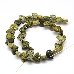 Serpentine White Bear Natural Serpentine/Green Lace Stone Beads Strands, 10.5x14~15x6~7mm, Hole: 1mm, about 39pcs/strand, 14
