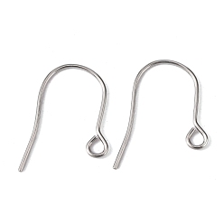 304 Stainless Steel 304 fil d'oreille en acier inoxydable, avec boucle horizontale, 22x18mm, Trou: 2.2mm