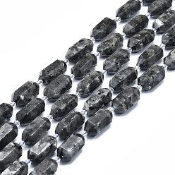 Larvikite Natural Larvikite Beads Strands, Faceted, Double Terminated Pointed/Bullet, 25~27x13~15x12~13mm, Hole: 1.2mm, about 12~13pcs/strand, 15.35 inch(39cm)