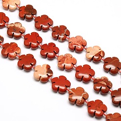 Red Jasper Natural Red Jasper Flower Beads Strands, 15x5.5mm, Hole: 1mm, about 27pcs/strand, 16.53 inch