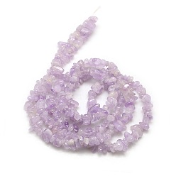 Amethyst Natural Amethyst Beads Strands, Chips, 6~10x4~6x3~!5mm, Hole: 1mm, about 32 inch