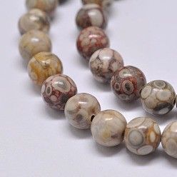 Maifanite Brins de perles en pierre naturelle maifanite / maifan, ronde, 4mm, Trou: 1mm, Environ 90 pcs/chapelet, 15.1 pouce