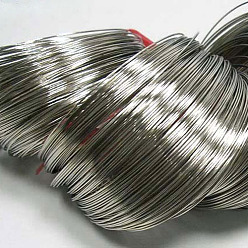 Platinum Steel Memory Wire, for Wrap Bracelets Making, Nickel Free, Platinum, 20 Gauge, 0.8mm, 60mm inner diameter, 1100 circles/1000g