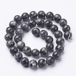 Larvikite Brins de perles de larvikite naturelles, ronde, environ 10 mm, Trou: 1mm, Environ 40 pcs/chapelet, 15.5 pouce