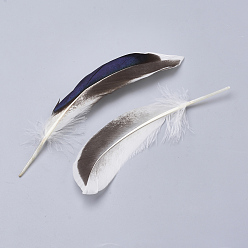 White Feather Costume Accessories, Dyed, White, 115~160x20~35mm