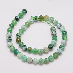 Sea Green Natural Fire Crackle Agate Bead Strands, Dyed, Faceted, Round, Sea Green, 8mm, Hole: 1mm, about 47pcs/strand, 14 inch
