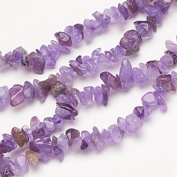 Amethyst DIY Bracelets Necklaces Jewelry Sets, Natural Amethyst Chips Beads Strands, Toggle Clasps, Lobster Claw Clasps and Elastic Wire, 12.6x10.6x2.1cm