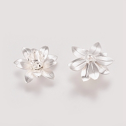 Серебро 3 d латунные колпачки, цветок, мульти-лепесток, серебряный цвет гальваническим, лоток : 5 мм, 16x6.5 мм, отверстие : 0.8 мм
