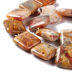 Crazy Agate Natural Crazy Agate Beads Strands, Square, 19.5~20x19.5~20x6.5~7mm, Hole: 1.2mm, about 20pcs/strand, 15.59''~15.91''(39.6~40.4cm)