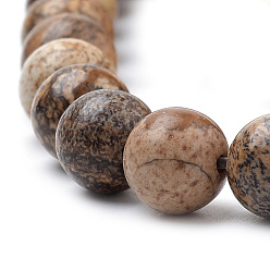 Picture Jasper Natural Picture Jasper Beads Strands, Round, 6mm, Hole: 1mm, about 61pcs/strand, 15.7 inch