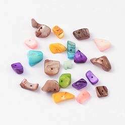 Mixed Color Natural Freshwater Shell Chips Beads, Shell Shards, Dyed, Mixed Color, 8~17x5~7x4~6mm, Hole: 1mm, about 640pcs/500g