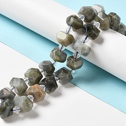 Labradorite Natural Labradorite Beads Strands, Chip, 14~16x12~14x8~10mm, Hole: 1mm, about 24pcs/strand, 14.76''(37.5cm)