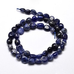 Sodalite Natural Sodalite Nuggets Beads Strands, Tumbled Stone, 5~10x6~7x3~7mm, hole: 1mm, about 14.9 inch~15.7 inch
