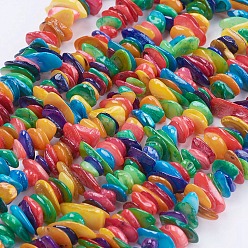 Mixed Color Natural Shell Chips Beads Strands, Dyed, Mixed Color, 5~18x4~10x1~4mm, Hole: 1mm, about 31.4 inch(80cm)