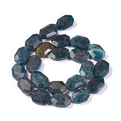 Apatite Brins de perles d'apatite naturelle à facettes, ovale, 18~19x13~14x6.5~7mm, Trou: 0.8mm, Environ 22 pcs/chapelet, 15.55 pouce (39.5 cm)