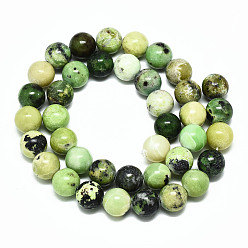 Serpentine Natural Serpentine Beads Strands, Round, 10mm, Hole: 1.2mm, about 39pcs/strand, 14.96 inch~15.75 inch(38~40cm)
