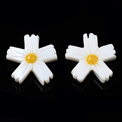 Mixed Color Natural Freshwater Shell Beads, with Enamel, Flower, Mixed Color, 15x14x4.5mm, Hole: 0.9mm