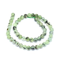 Prehnite Natural Prehnite Beads Strands, Round, 5~6mm, Hole: 0.4mm, about 70pcs/strand, 15.5 inch~16 inch(39.37~40.64cm)