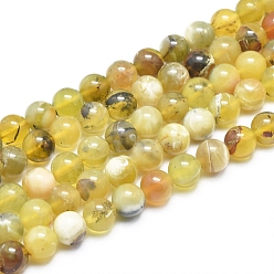 Yellow Opal Natural Yellow Opal Round Bead Strands, 10mm, Hole: 1mm, about 38pcs/strand, 15.5 inch