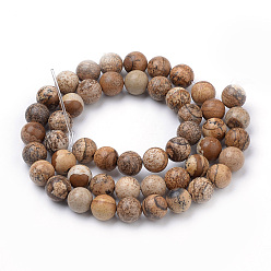 Picture Jasper Natural Picture Jasper Beads Strands, Round, 10mm, Hole: 1mm, about 40pcs/strand, 15.7 inch