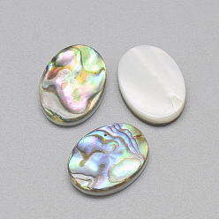 Colorful Paua Shell Cabochons, Oval, Colorful, 16x12x3mm