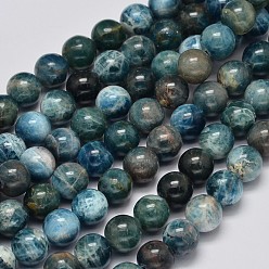 Apatite Rondes apatite naturelle perles brins, classe ab, 8mm, Trou: 1mm, Environ 47 pcs/chapelet, 15.7 pouce