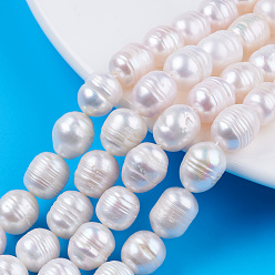Coquillage De Mer Brins de perles de culture d'eau douce naturelles, riz, couleur de coquillage, 10~12x9~10mm, Trou: 0.7mm, Environ 32~33 pcs/chapelet, 13.39 pouce (34 cm)