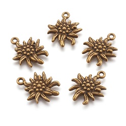 Antique Bronze Tibetan Style Alloy Pendants, Cadmium Free & Nickel Free & Lead Free, Edelweiss, Antique Bronze, 21x16x2.5mm, Hole: 1mm