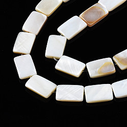 Seashell Color Natural Freshwater Shell Beads Strands, Rectangle, Seashell Color, 12x8x2.5~3mm, Hole: 1mm, about 32pcs/strand, 15.20~15.71 inch(38.6~39.9cm)